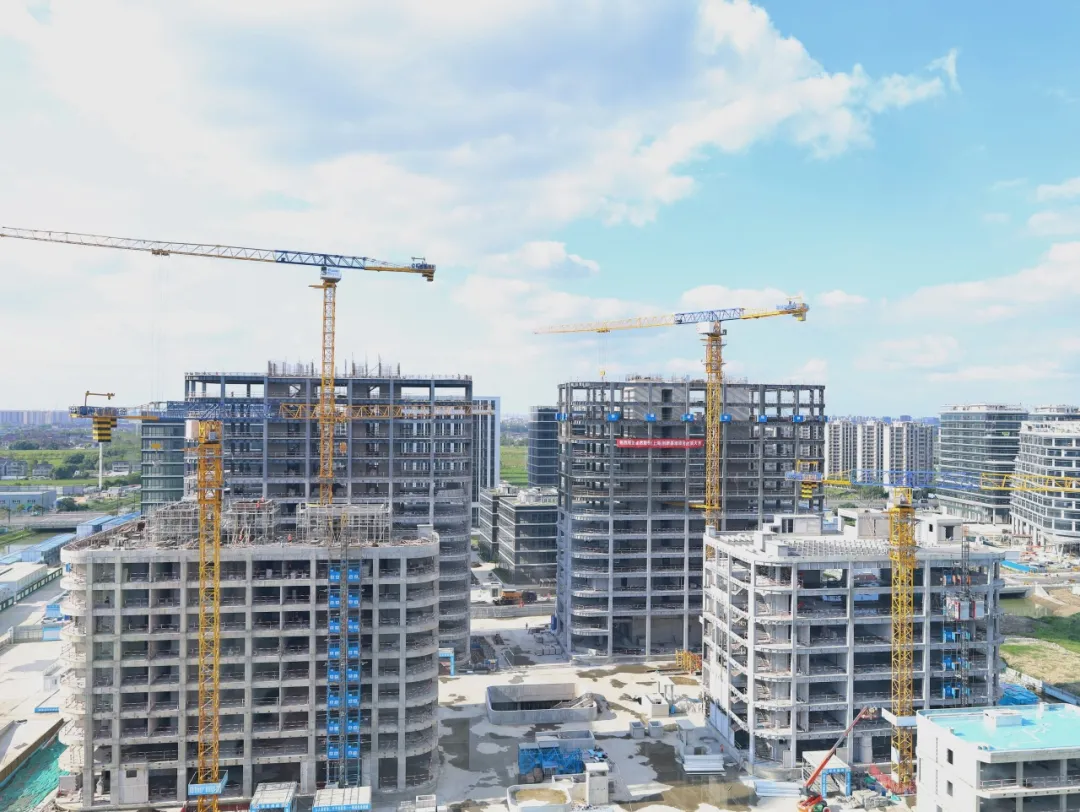 同心同向 造炬成陽 | 卓然股份2024年第三季度動態(tài)速覽